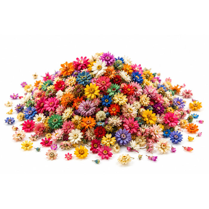 Resin Studio Assorted Mini Dried Flowers