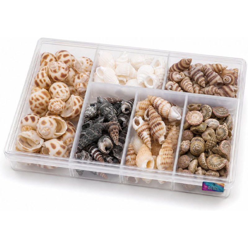 Resin Studio Assorted Mini Natural Seashells RS2064