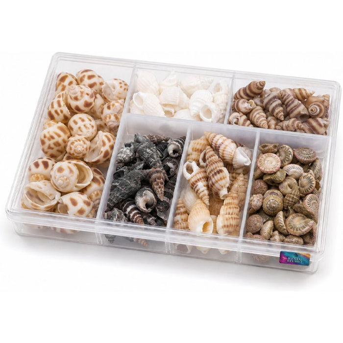 Resin Studio Assorted Mini Natural Seashells RS2064