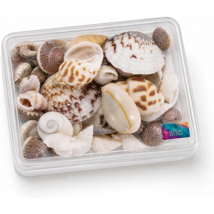 Resin Studio Mixed Mini Natural Seashells RS2065