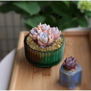 Ribbed Lidded Jar Silicone Mould