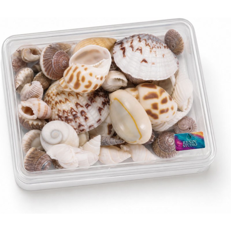 Resin Studio Mixed Mini Natural Seashells RS2065
