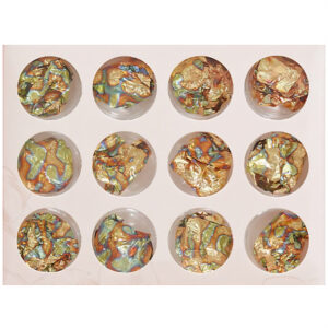 12 Pot Chameleon Metallic Flake Set RS2037